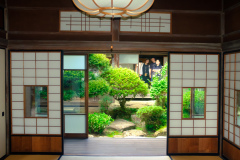 DSCF2651